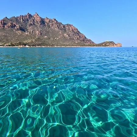 Дом отдыха Casa Mimosa