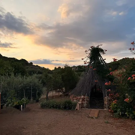 Casa Mimosa *