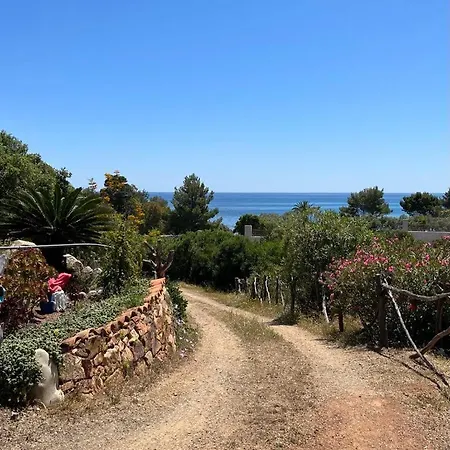 Casa Mimosa Holiday home *