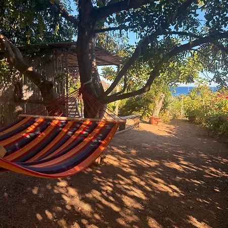 Casa Mimosa Feriehus Tertenìa