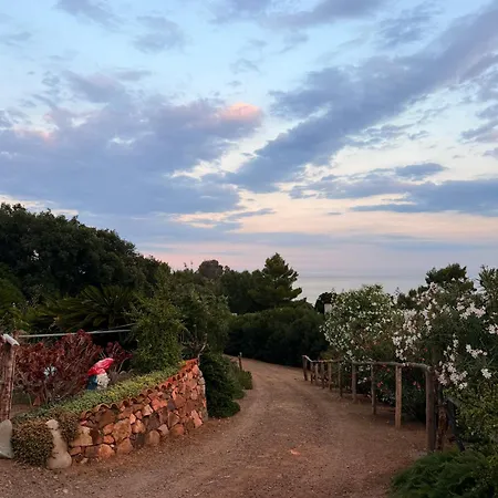 Casa Mimosa Feriehus Tertenìa